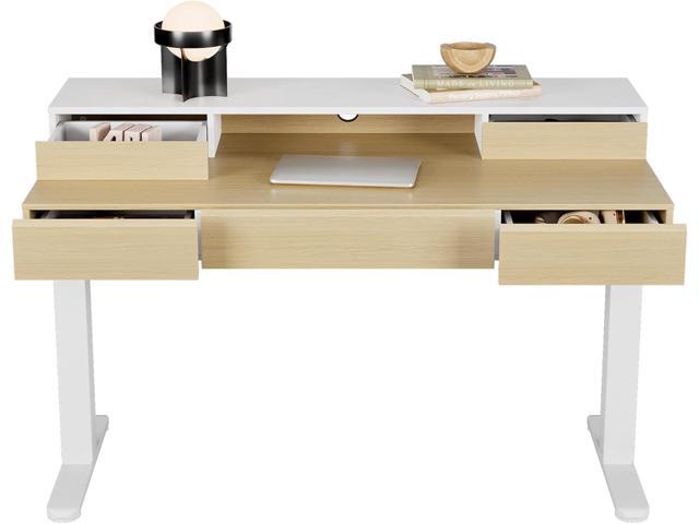 Standing Desk with Drawers, 48 Inches Electric Height Adjustable Desk with Storage, Whole-Piece Board Sit Stand Up Desk with Monitor Shelf, Light...