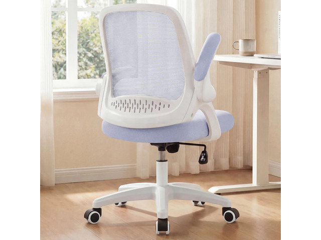 Office Desk Gaming Ergonomic Computer Chair with Lumbar Back Support Adjustable Height Swivel Rolling Wheels Flip-up Arms Mesh Chair for Home...