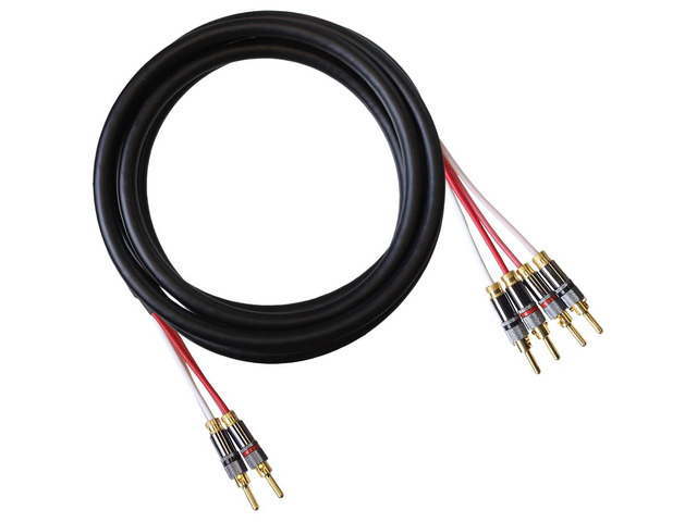 Canare 4S11 Speaker Cable, with Ultrasonically-Welded Bi-Wire Terminations (One Cable - for one Speaker); Assembled in The USA (40 Foot, Black, Two...