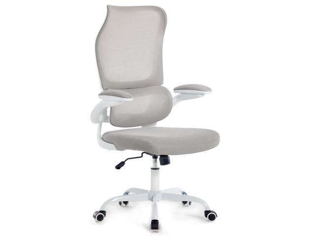 Ergonomic Office Chair, High Back Breathable Mesh Computer Desk Chair with Adjustable Lumbar Support and Flip-Up Armrests, 300LB Capacity Executive...