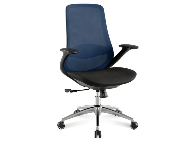 BV Ergonomic Office Chair, High Back Executive Desk Chair with 2D Armrests,Adjustable Lumbar Support, Breathable Mesh Computer Chair for Home...