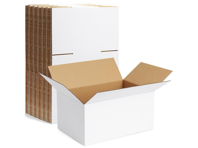10 Pack 10x7x5 Inch Small Shipping Boxes White Corrugated Cardboard Boxes Mailer for Small Business, Mailing Boxes for Packaging Bulk