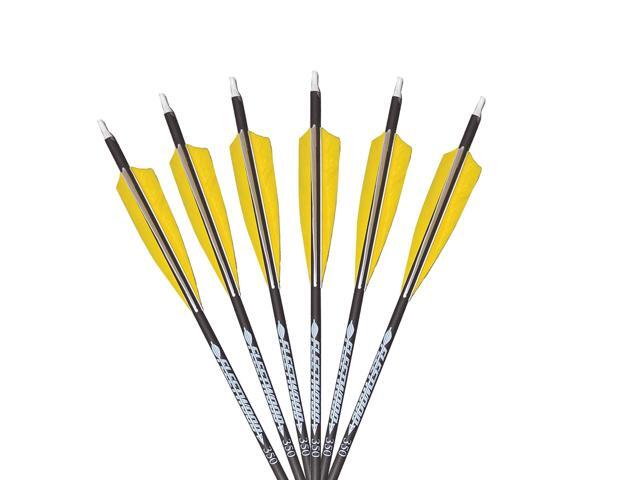 Arrows with Feathers 6 Pack