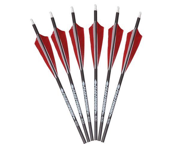 Arrows with Feathers 6 Pack