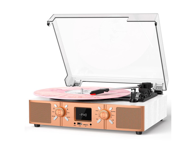 Vinyl Record Player with Built-in Speakers, Bluetooth Turntable for Vinyl Records, 3-Speed Belt-Driven LP Player, USB/Micro SD Recording, FM Radio,...
