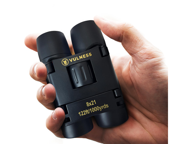Binoculars for Adults, Small Mini Travel Essentials, 8X21, Black Compact Binoculars for Camping, Cruise Ship, Hiking Gear, Bird Watching,...
