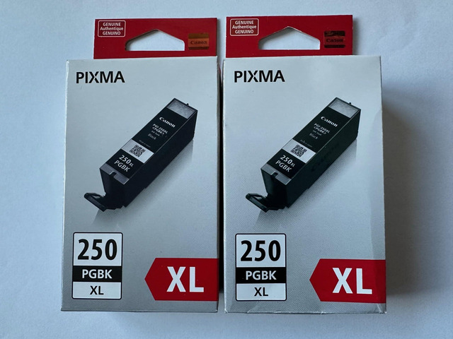 PGI-250 XL Black Ink Cartridge (2 Pack)