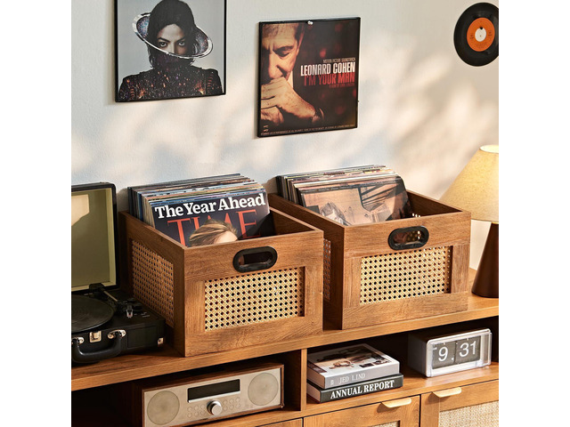 2 Pack Vinyl Record Storage Crates, Rattan Vinyl Record Holder with Handle, TeaC Record Crate for Vinyls Holder up to 75 LP's, Desktop Cube Album...