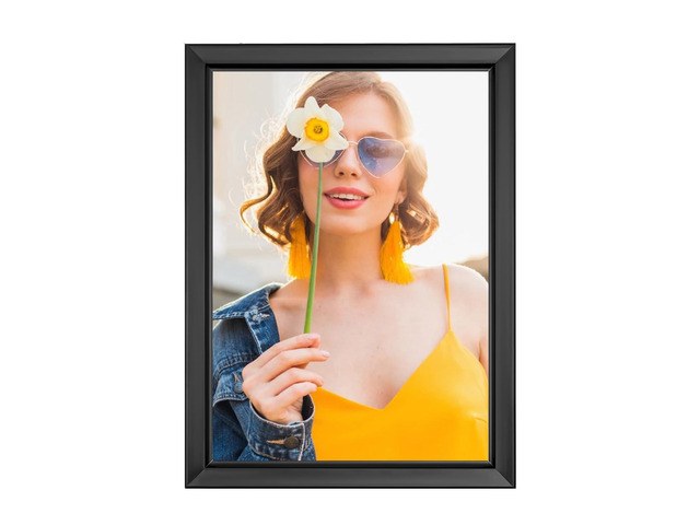 LED Movie Poster Frame 18 x 24, Wall Mounted Poster Frame LED Light Box Backlit Movie Lightbox Theater Advertising Display Cinema Snap Light Box...
