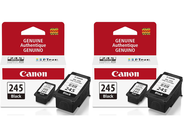 PG-245 Genuine Black Ink Cartridge, Compatible with iP2820, MG2420/2924/2920/3020/2522/2525, MX492, TS3120/302/302a/202/202a/4520/3320 (Pack of 2)