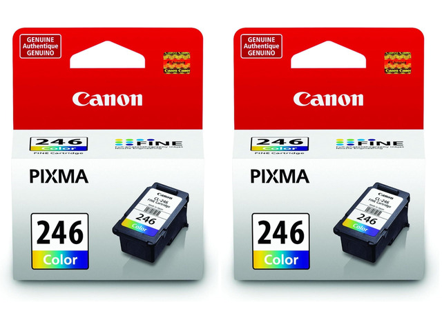 CL-246 Genuine Color Ink Cartridge, Compatible with iP2820, MG2420/2924/2920/3020/2522/2525, MX492, TS3120/302/302a/202/202a/4520/3320 (Pack of 2)