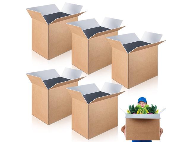 5 Pcs Large Insulated Shipping Boxs Bulk 19' x 12' x 16' for Frozen Food with Foil Insulated Cold Bag Liner Shipping Box Cooler Box Cold Pack Boxes...