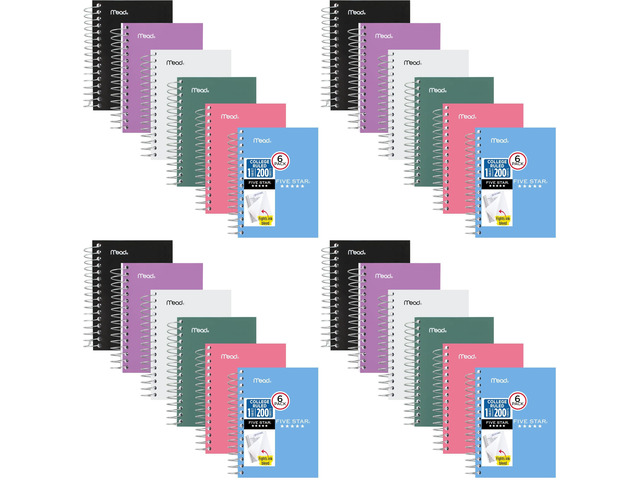 Spiral Notebook,College Ruled Paper,Fat Lil' Pocket Notebooks,3-1/2' x 5-1/2',200 Sheets,Assorted Colors (38027),6 Count (Pack of 4)