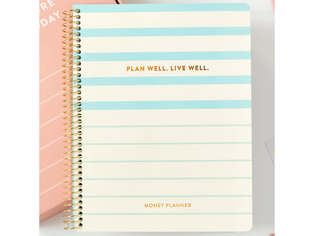 PPP Money Planner 10 Cash Budget Envelopes Budget Planner Annual & Monthly Financial Worksheet, Expense, Saving & Debt Reduction Pages ...