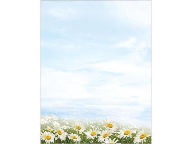 Daisy Day Letterhead Stationery, 8.5' x 11', Inkjet and Laser Printer Compatible (2020145), 80 Count (Pack of 12)