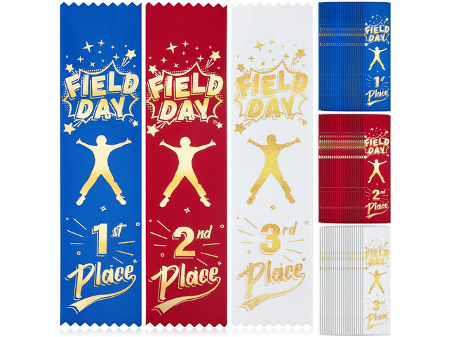 600 Pieces School Field Day Ribbons Award Bulk 1st, 2nd, 3rd Place Participation Ribbon Bookmark Style Prize Winner Recognition Ribbons for Medals...