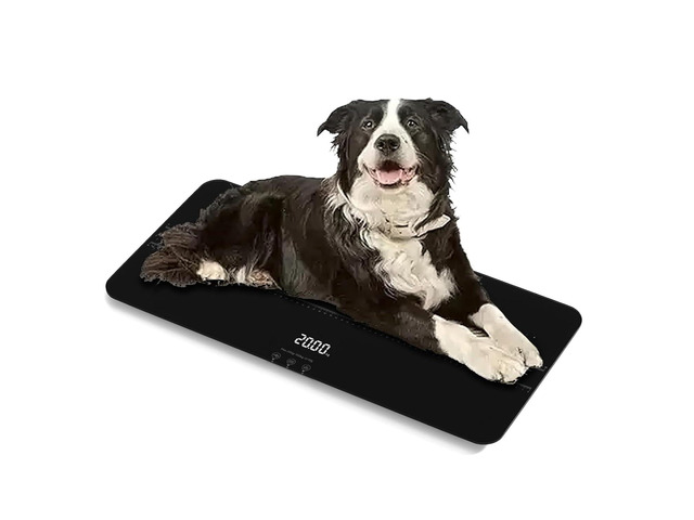 Medium-Small Veterinary Scale, Dog Scale (Â±10g) Accuracy, Max 220lbs, Digital Pet Scales and USB Recharging Cord Included, 27 x 13 inch Tempered...