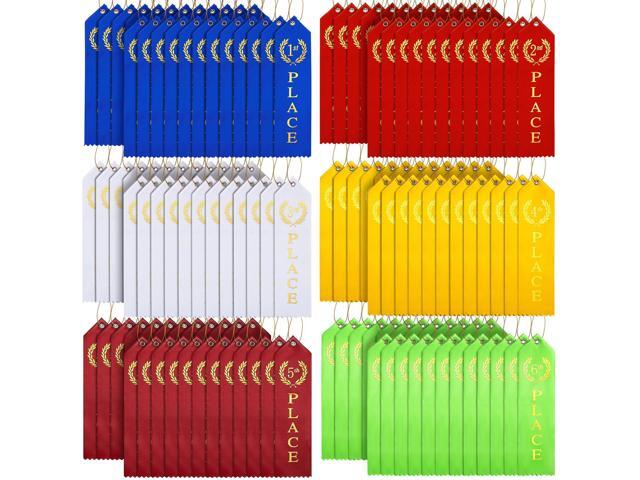 360 Pcs Award Ribbon for 1st, 2nd, 3rd, 4th, 5th, 6th Place Ribbon First Place Prize with Card and Rope Gymnastics Swimming Award Competition.