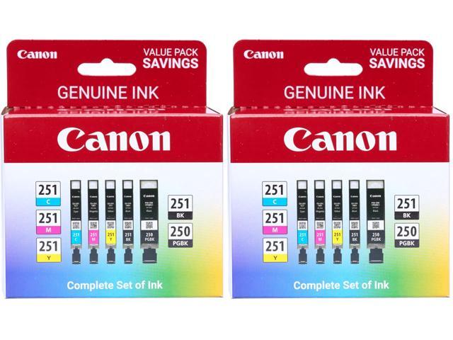 PGI-250/ CLI-251 5 Color Amazon Pack,(Pack of 2)
