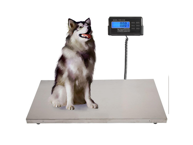 Livestock Scale, 200Kg/440Lbs Digital Postal Shipping Scale Heavy Duty Vet Pet Scale with 103x53cm Large Stainless Steel Platform for Animal Dog...