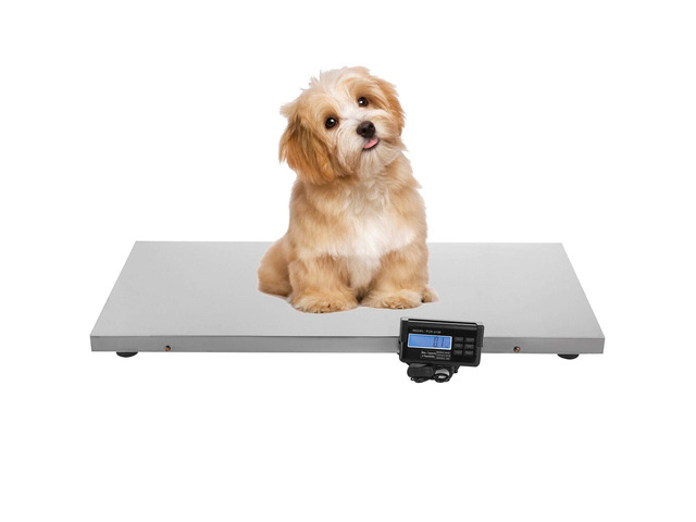 Veterinary Scale, 440LB Heavy Duty Digital Livestock Platform Scale with Power Adapter for Vet Animal Pet Cat Dog Cattle Goat, Small Livestock...