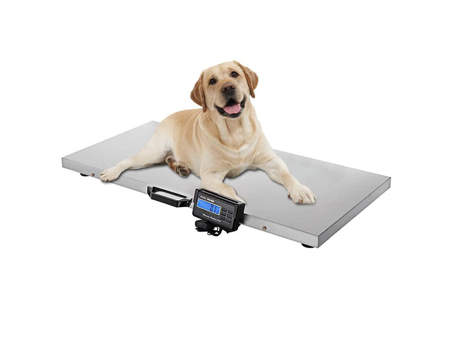 Veterinary Scale, 1100LB Heavy Duty Digital Livestock Platform Scale with Power Adapter for Vet Animal Pet Cat Dog Cattle Goat, Stainless Steel...