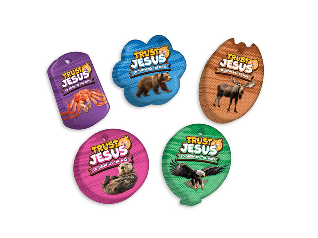 2025 VBS (Vacation Bible School) Faith Tag Value Pack. Trust North for Direction: 500 Brag Tags (100 Tags per Design)