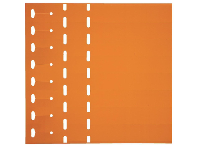 Weather Resistant Laser Printable Strip Loop-Lock Tags 11' L x 1' W, Package of 1,000, Orange