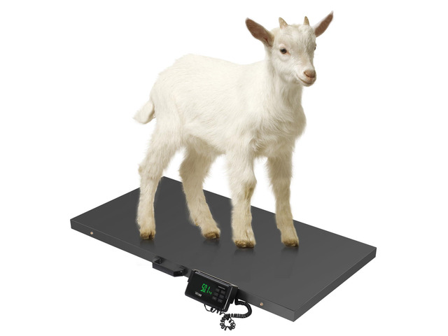 1100Lbs x 0.2Lbs Postal Digital Shipping Livestock Scale, Electronic Stainless Steel Platform Heavy Duty Vet Animal Floor Scale,Dog Puppy Pig Goat...