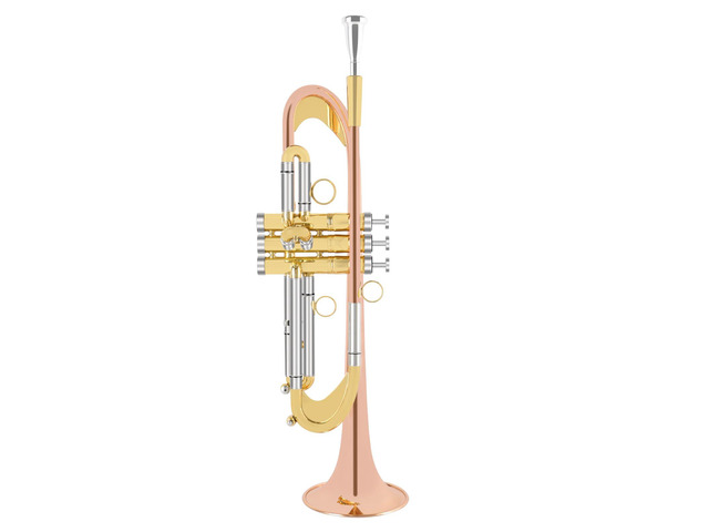 Bb Trumpet Standard Trumpet Set with Carrying Case,Gloves, 7C Mouthpiece, Cleaning Kit, Tuning Rod (Cupronickel)
