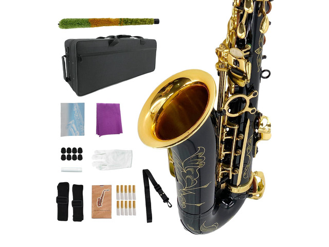 Student Eb Alto Saxophone E Flat for Beginners Sax Full Kit with Pads Cushions,Hard Carrying Case,Neck Strap,Reeds,Cleaning Cloth &...