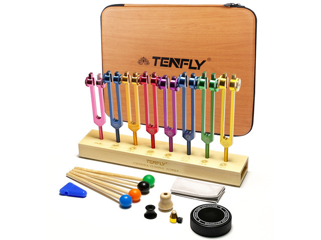 Chakra Tuning Forks Set for Healing, 7 Chakra+1 Soul Purpose Weighted Tuning Forks for DNA Healing, Chakra, Sound Therapy etc, Multicolour(126.22...