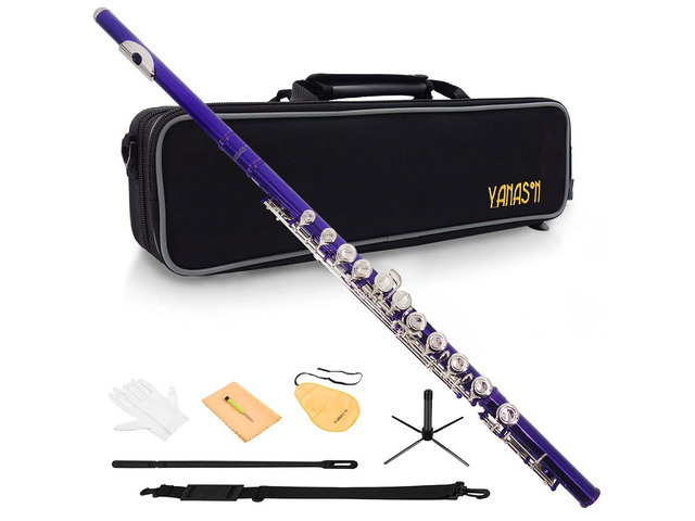Purple C Flute Closed Hole 16 Keys Flute Nickel-Plated for Beginner, Student and Professionals with Carrying case, Metal stand, Gloves, Tuning Rod,...