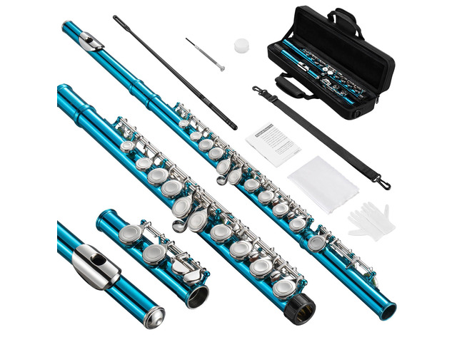 Flutes, Closed Hole C 16 Keys Flute Instrument, Student Flute for Beginner School Orchestra Band, with Cleaning Kit, Carry Bag, Strap, Probe Rod,...