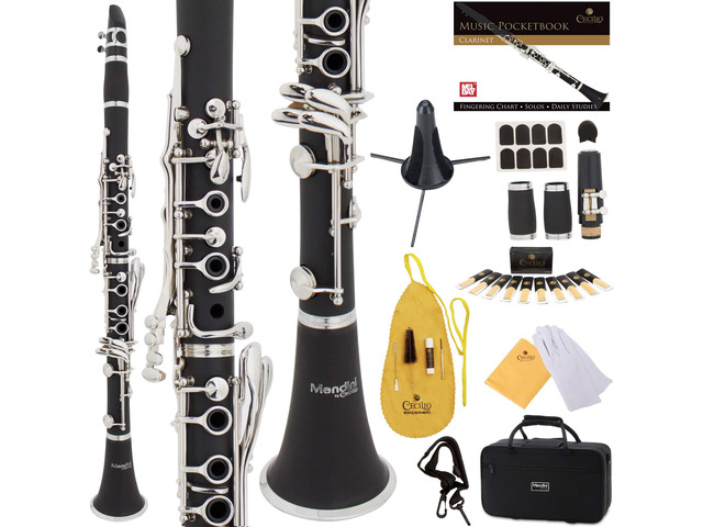 Ebonite Bb Clarinet with 2 Barrels, Cleaning Kit - Black B Flat Clarinet with 10 Reeds, Mouthpiece Brush/ Pad Brush, Stand, Case, Pocketbook,...