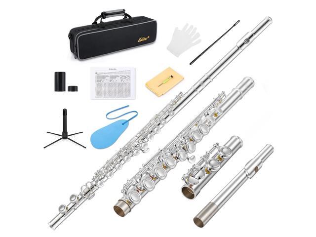 Upgraded Closed Hole 16 Keys C Flute for Beginner Student, Instrument with Cleaning Kit, Stand, Case, Gloves, Tuning Rod, Fingering Chart, Silver...