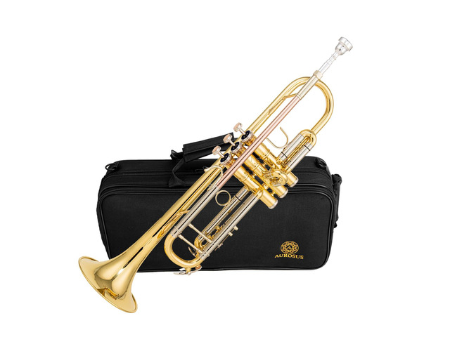 Bb trumpets red gold brass leadpipe mouthpipe advanced student professional trumpet Musical Instruments For Beginner Adults (710 gold brass)