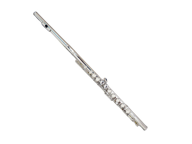 C Flutes Closed Hole 16 Keys Flute Silver Plated, DFL-201, for Beginner Student Flute Instrument with Cleaning Kit, Carrying Case, Gloves, Tuning Rod