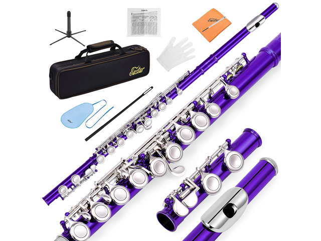 Closed Hole 16 Keys Flute for Beginner Kids Student with Fingering Chart, Cleaning Kit, Stand, Case, Gloves, Tuning Rod, Purple, EFL-1Pu
