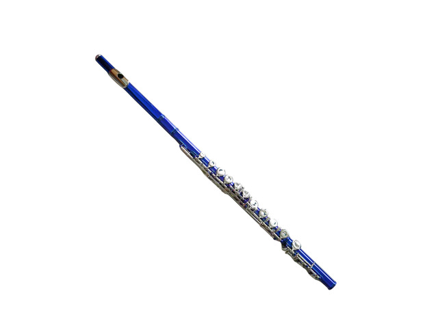 C Flute Closed Hole 16 Keys Nickel Plated, DFL-401, for Beginner Student Flute Instrument with Cleaning Kit, Carrying Case, Gloves, Tuning Rod...