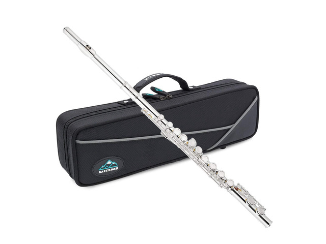 Closed Hole Flutes C 16 Key for Beginner, Kids, Student Silver Nickel Flute with Case Stand and Cleaning kit