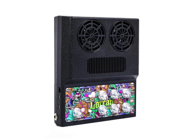 Bass Amp,20W Portable Bass Amplifier for Bass Guitar,Compressor,Boost Effect, Mini Portable Bass Combo Amp with Aux in,Bluetooth,Headphone Jack and...