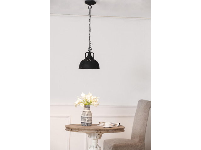 D10.4x11.4' Hanging Lamp,Metal