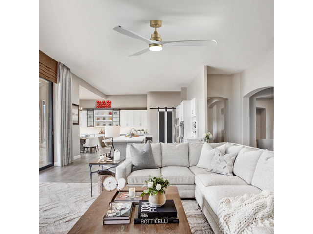 59.8 inch Ceiling Fan with Light, 3 Solid Wood Blades,Remote Control,6-Speed Reversible Dc Motor for Living Room,Bed Room,Dining Room.
