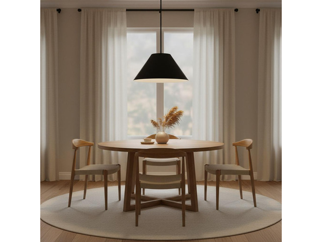 22 inch Diameter integrated Led Black Pendant