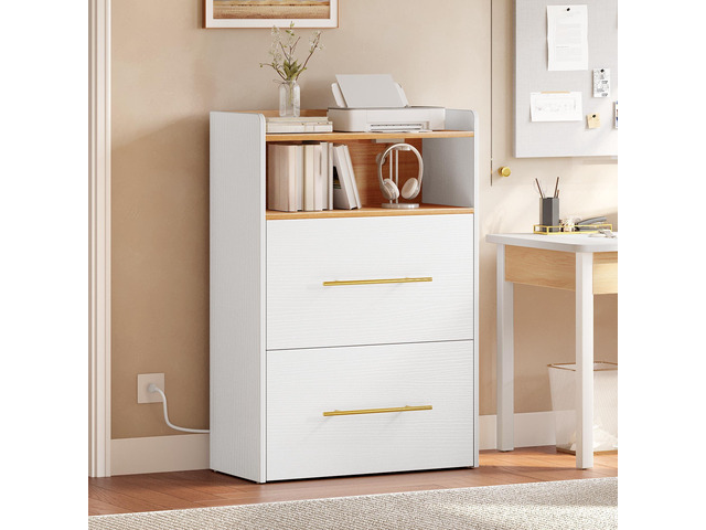 2 Drawer File Cabinet with Charging Station Printer Stand with Open Storage Shelf Vertical File Cabinets for Home Office Bedroom,Living Room