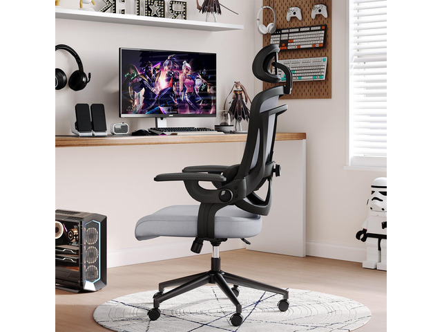 Executive Office Ergonomic Desk Chair, 300 LBS Home Mesh Chairs with Wheels, 2D Headrest, Up & Down Lumbar Support, Swivel High Back Computer Chair...