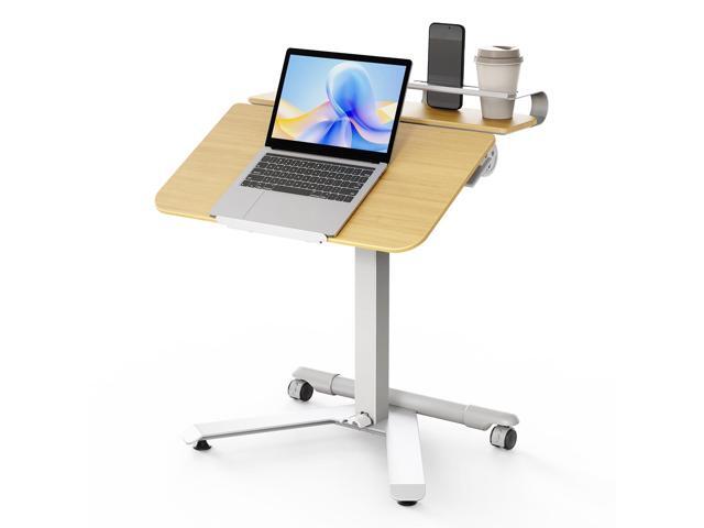 Rolling Standing Desk with Wheels, Sit-Stand Portable Laptop Cart Height Adjustable Mobile Desk with Tilt Top, Storage, 24' Computer Table for.