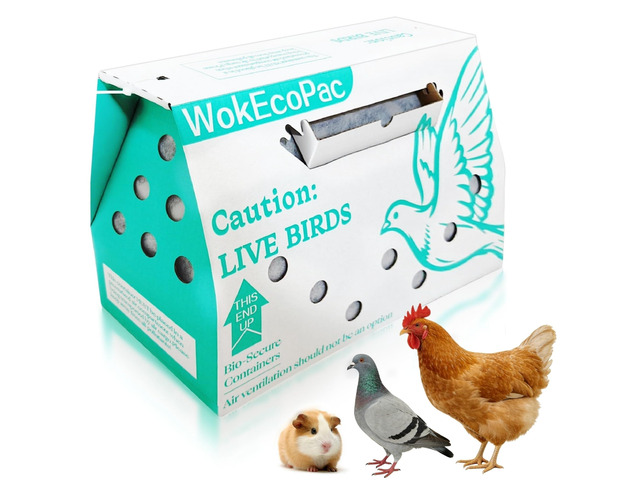 6 Pack Live Bird Shipping Boxes for Poultry Chicken Bird Duck (Green) Size 17.7' x 7.8' x 11.8'-Poultry Shipping Boxes, Poultry Carrier Crate has...