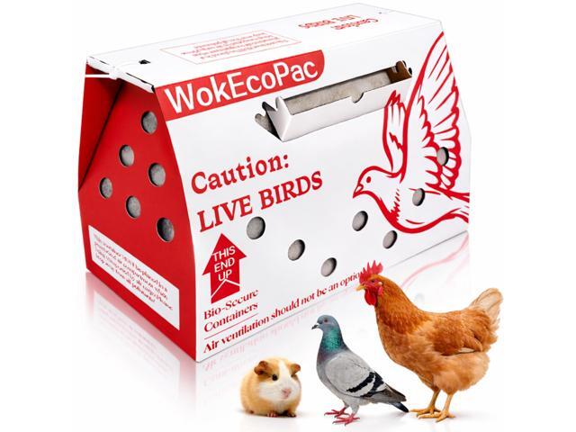 6 Pack Live Bird Shipping Boxes for Poultry Chicken Bird Duck (Red) Size 17.7' x 7.8' x 11.8'-Poultry Shipping Boxes, Poultry Carrier Crate has...